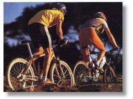 Mountain-Biking / &copy; Bild: Th. Streubel, Bike